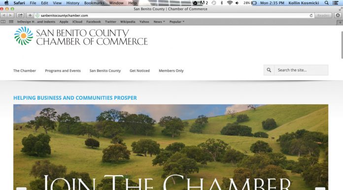 Chamber of commerce revives website, job fair