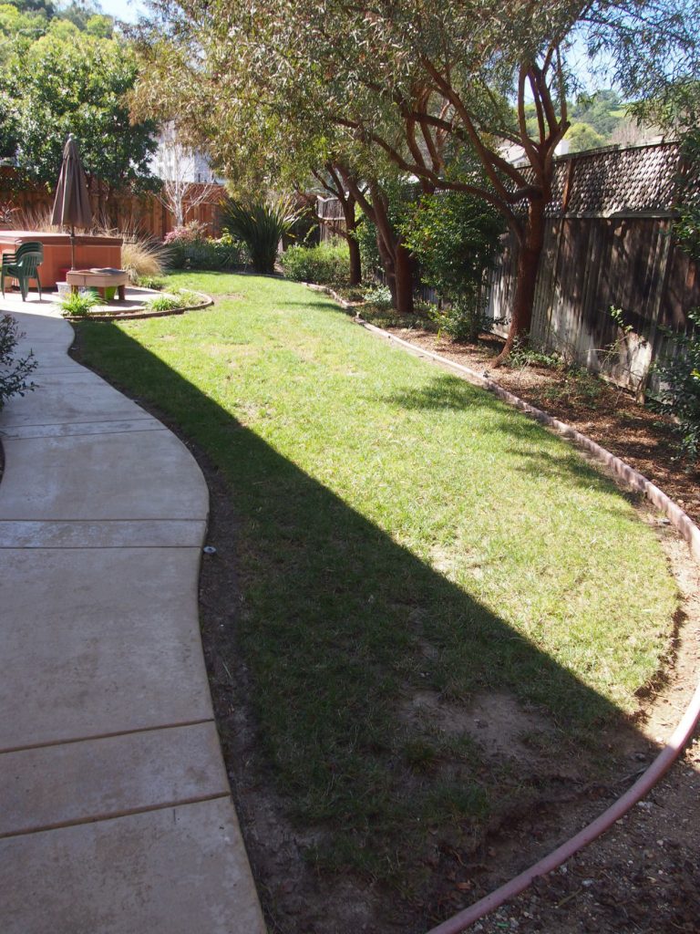 Get rid of your dead lawn