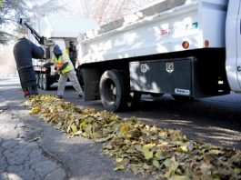 Kosmicki: In the Particulates’ world, leaf blowers reign