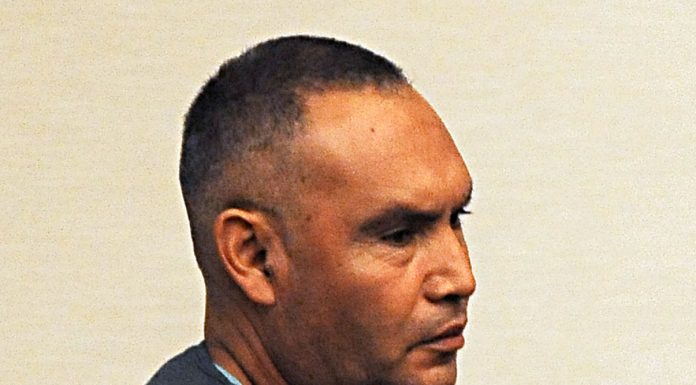 Convicted horse abuser agrees to pay $113k in restitution