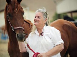 Reining in horse abuse at Orchard Road sanctuary