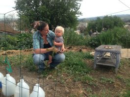 Hollister council approves pursuit of park grant