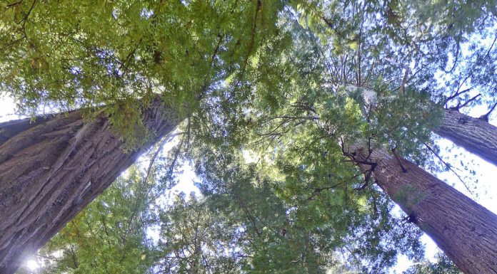 Getting Out: Going up a creek