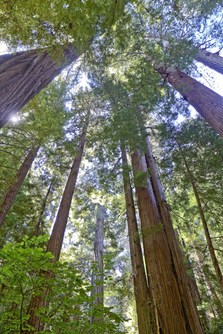 Getting Out: Going up a creek