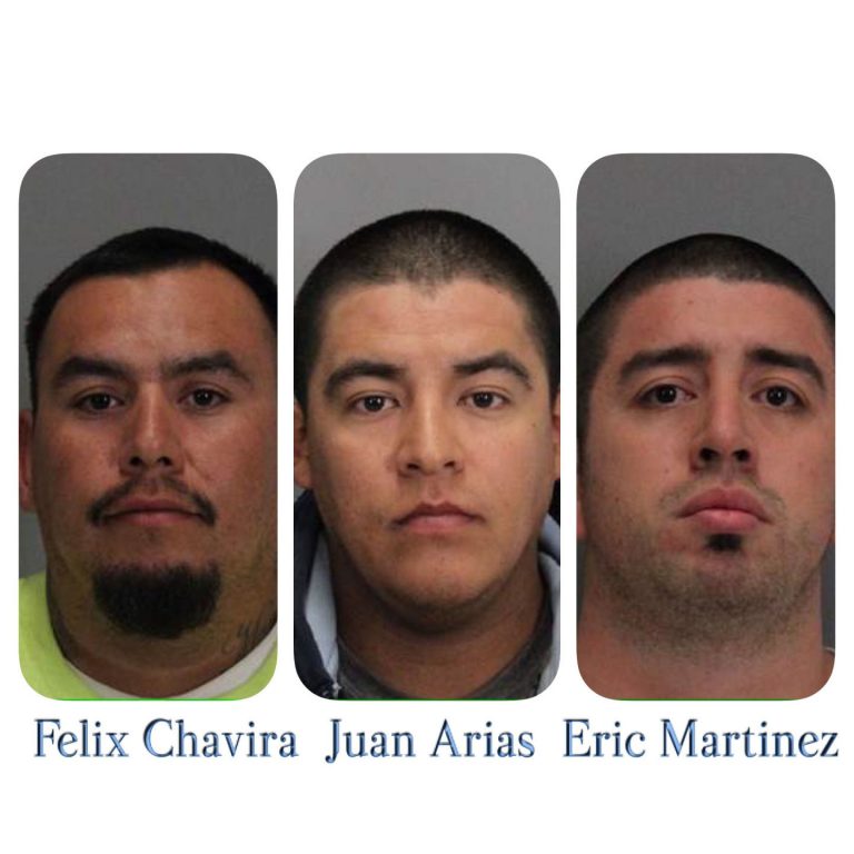 Hollister suspects arrested for fan fight after 49ers game