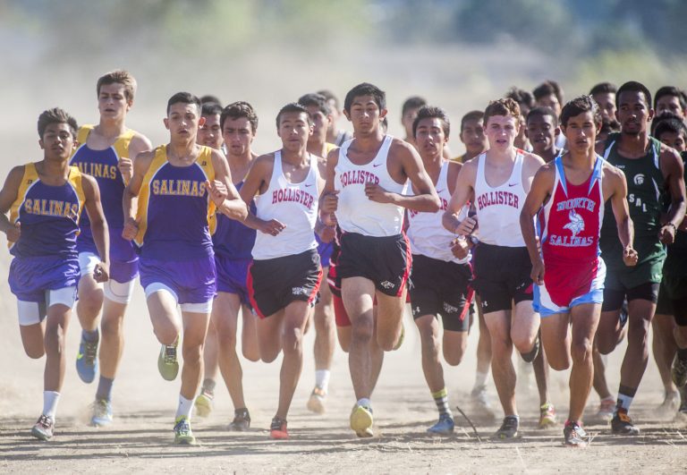 Cross Country: Balers strong as usual