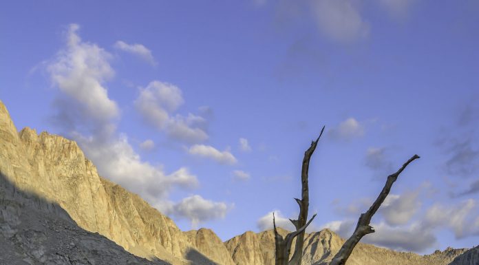 Getting Out: A visual crescendo at Miter