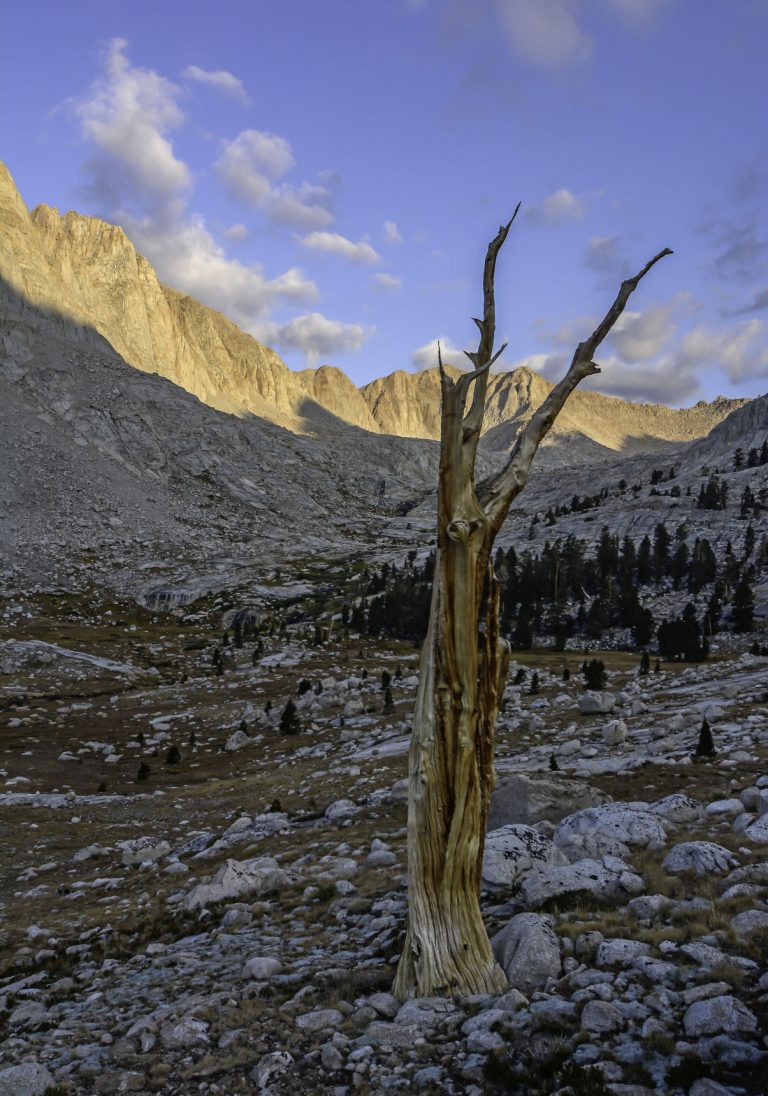 Getting Out: A visual crescendo at Miter