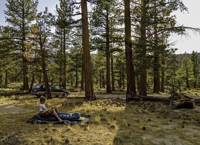 Erskine: Bagging out hits the spot