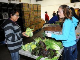 Hollister council weighs $100k donation to nonprofits