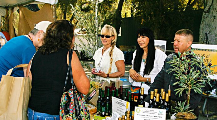 Olive branch for tourism in San Benito County