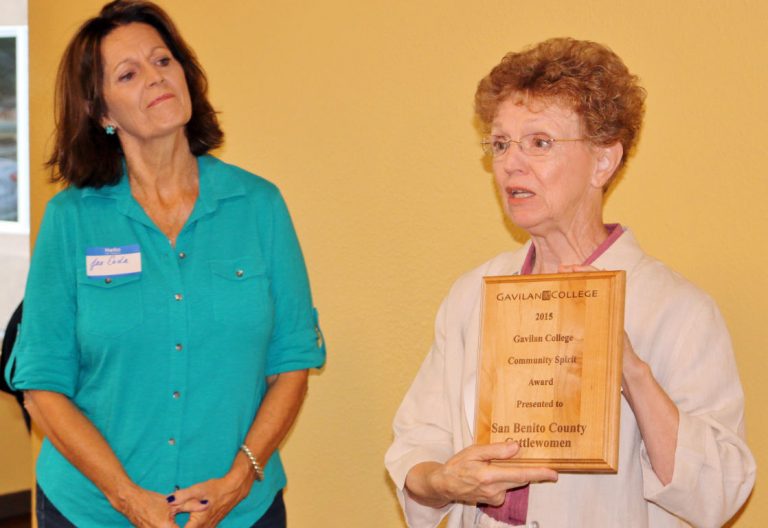 Gavilan hands out Community Spirit Awards