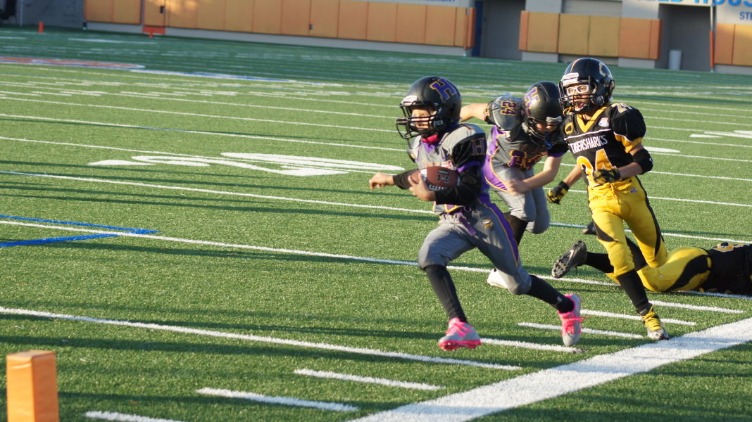 Youth Football: Vikings advance to Super Bowl 