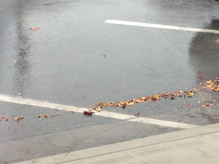 City officials respond to rain