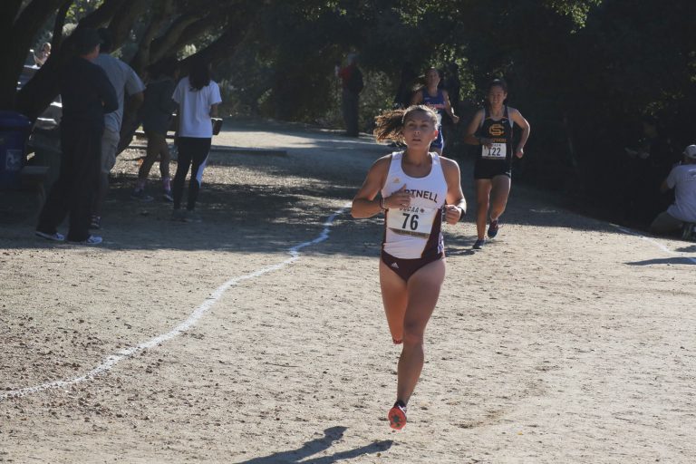 College: Shimabukuro a blast from the past