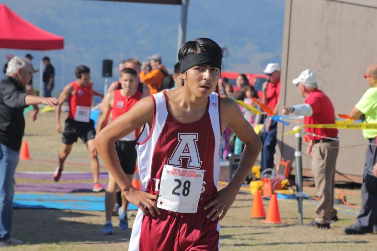 Cross Country: Changco, Garcia make state
