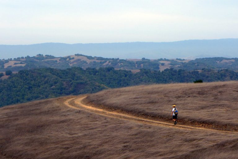 Getting Out: Venture to Vasquez