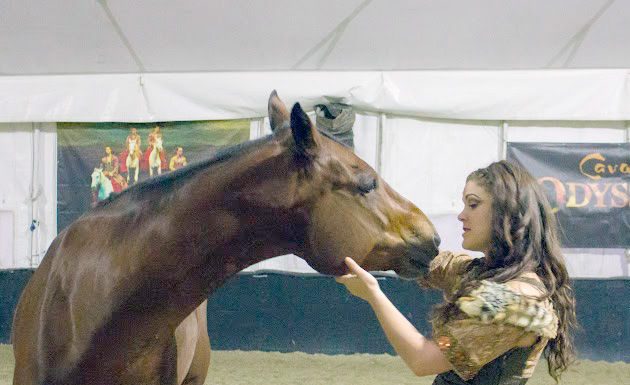 Cavalia horses vacationed near Hollister