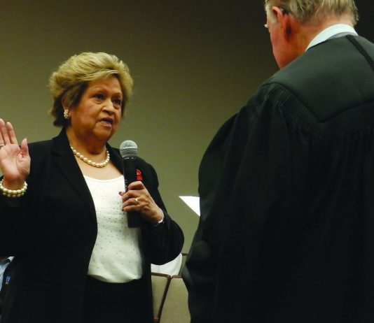 Luna takes funded trips without council permission