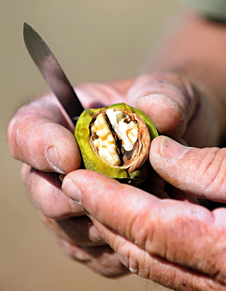 Public Health Column: Healthy choices for the holidays