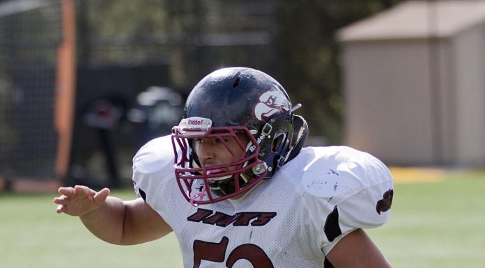 Football: Anzar duo in All-Star game