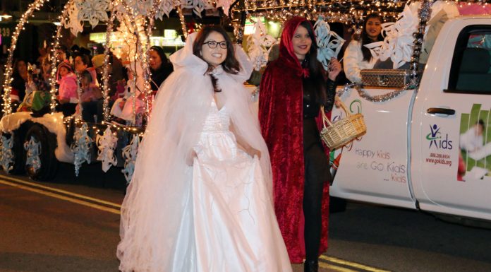 Elegant entrance to the holiday season