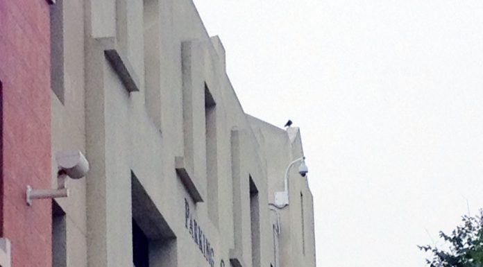 Gavilan trustees talk over future for Hollister campus