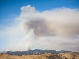 Kosmicki: Mad driver on Hollister roads