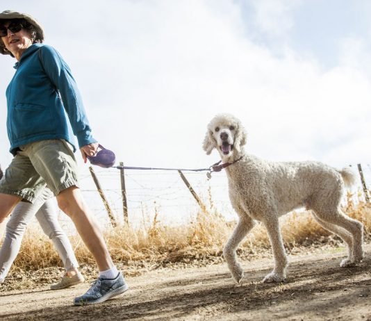 Updated: Klauer dog park incites broader debate