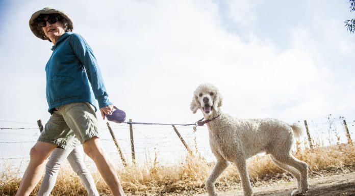 Updated: Klauer dog park incites broader debate