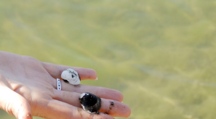 Question of the Week Answers: Limited San Justo recreation?