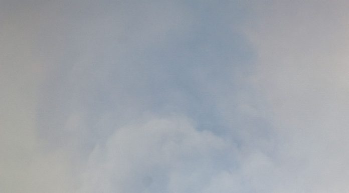 Kosmicki: Mad Driver on Rowdy Roads