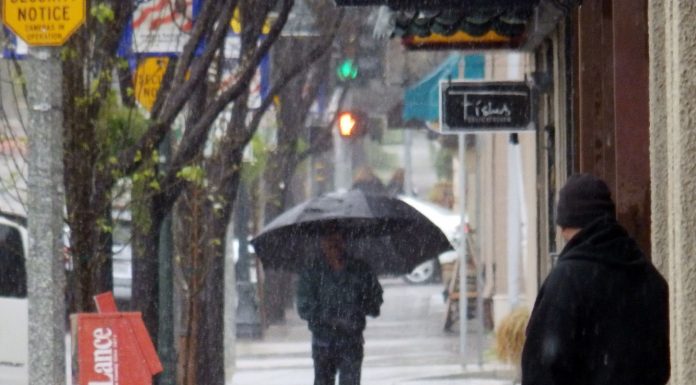 Recent rainstorms drop 2.39 inches, add to healthy total