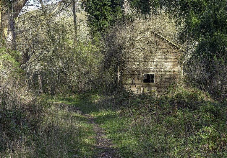 Getting Out: Hidden in the San Mateo foothills