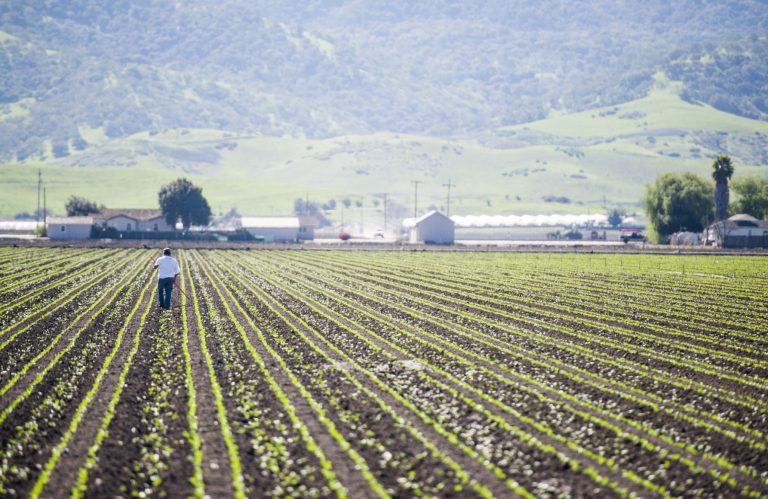 Local farmers see impacts from labor market