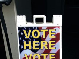 Candidates bring business approach to county board race