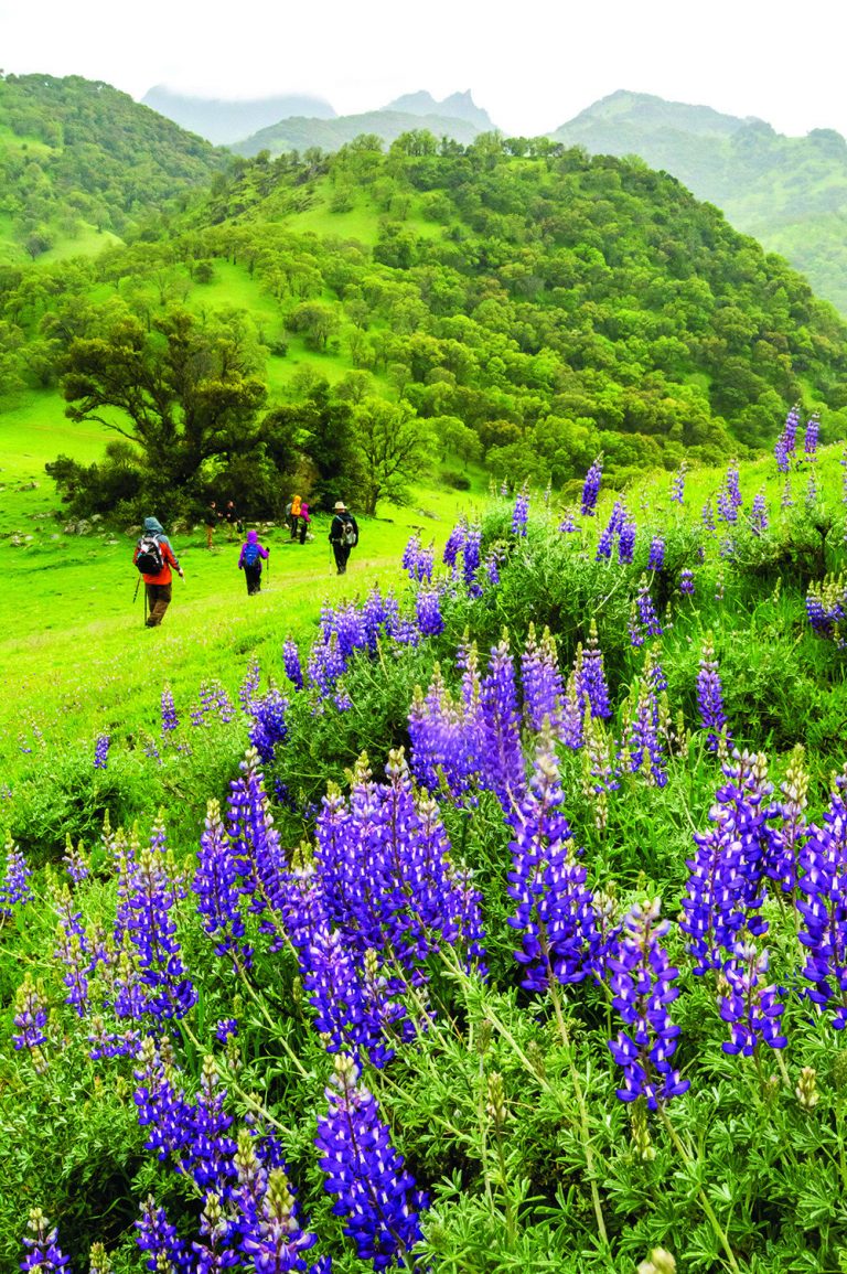 Getting Out: Hidden in plain site