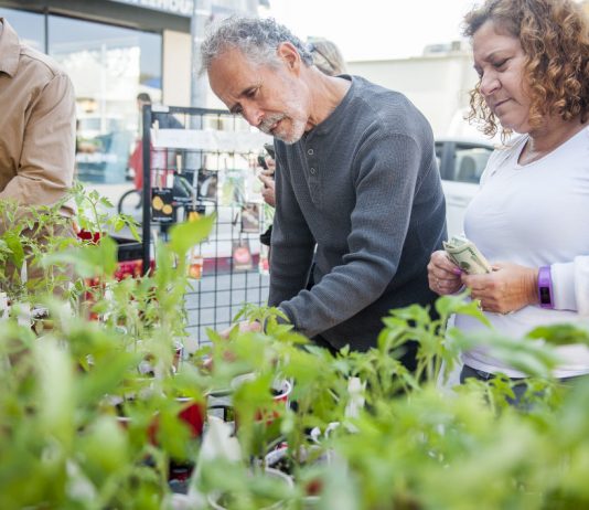 HDA to host downtown cleanup, plant sale