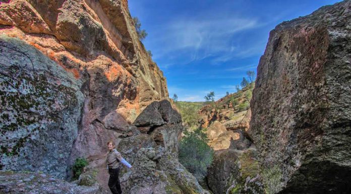 Pinnacles Peek: Exploring nature through verses