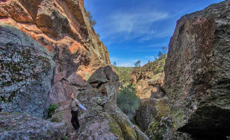 Pinnacles Peek: Exploring nature through verses