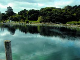 Water district dispute threatens McAlpine Lake’s future