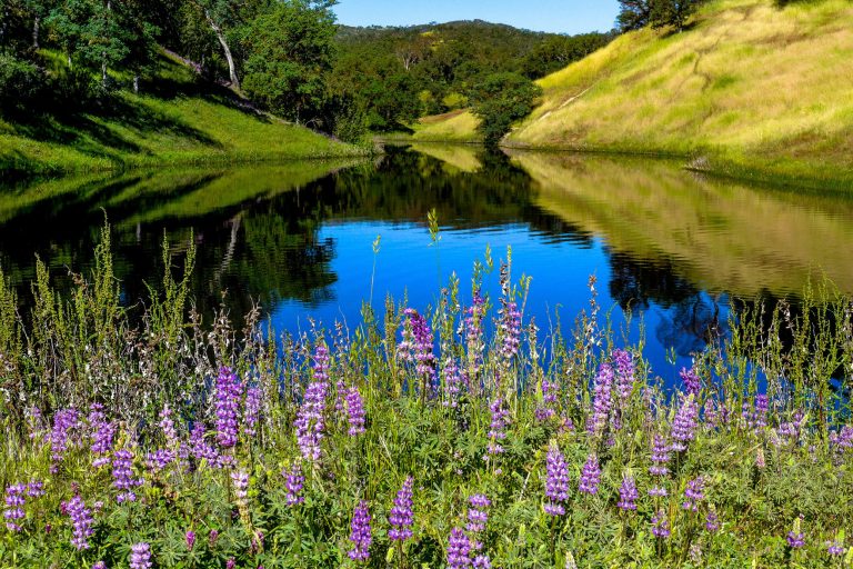 Getting Out: Coe Park is a beautiful behemoth