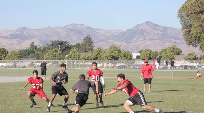 Football: Summer gridiron action