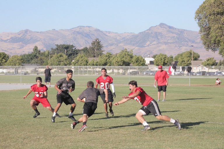 Football: Summer gridiron action