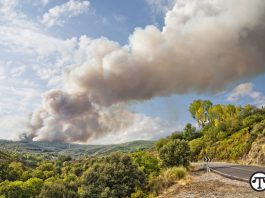 San Benito County gets $758K for wildfire resilienceÂ