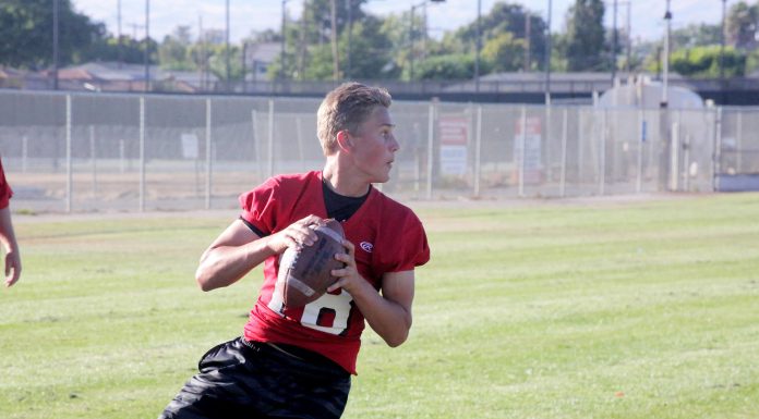 Football: Summer gridiron action