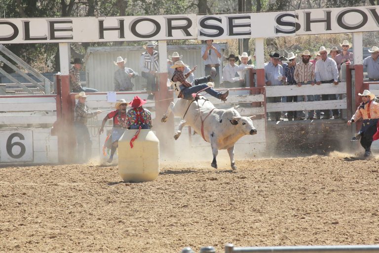 San Benito Rodeo scheduled set