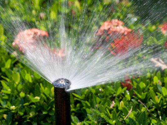 Water, water everywhere