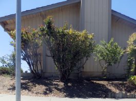 Police: Baby and mother in garage struck, nearly injured by fireworks