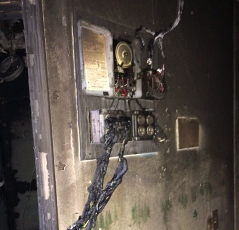 Fire turns to crime scene with 500-plus pot plants found